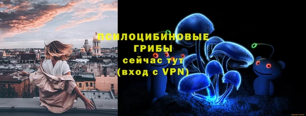 соль курить ск Белокуриха