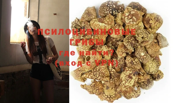 соль курить ск Белокуриха