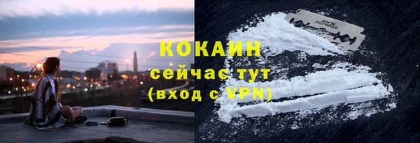 соль курить ск Белокуриха